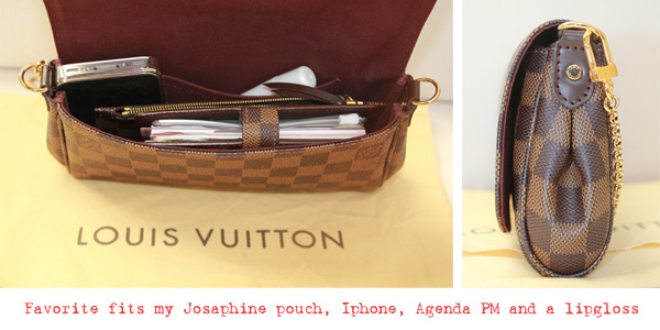 WHAT FITS INSIDE THE LOUIS VUITTON FAVORITE PM!?